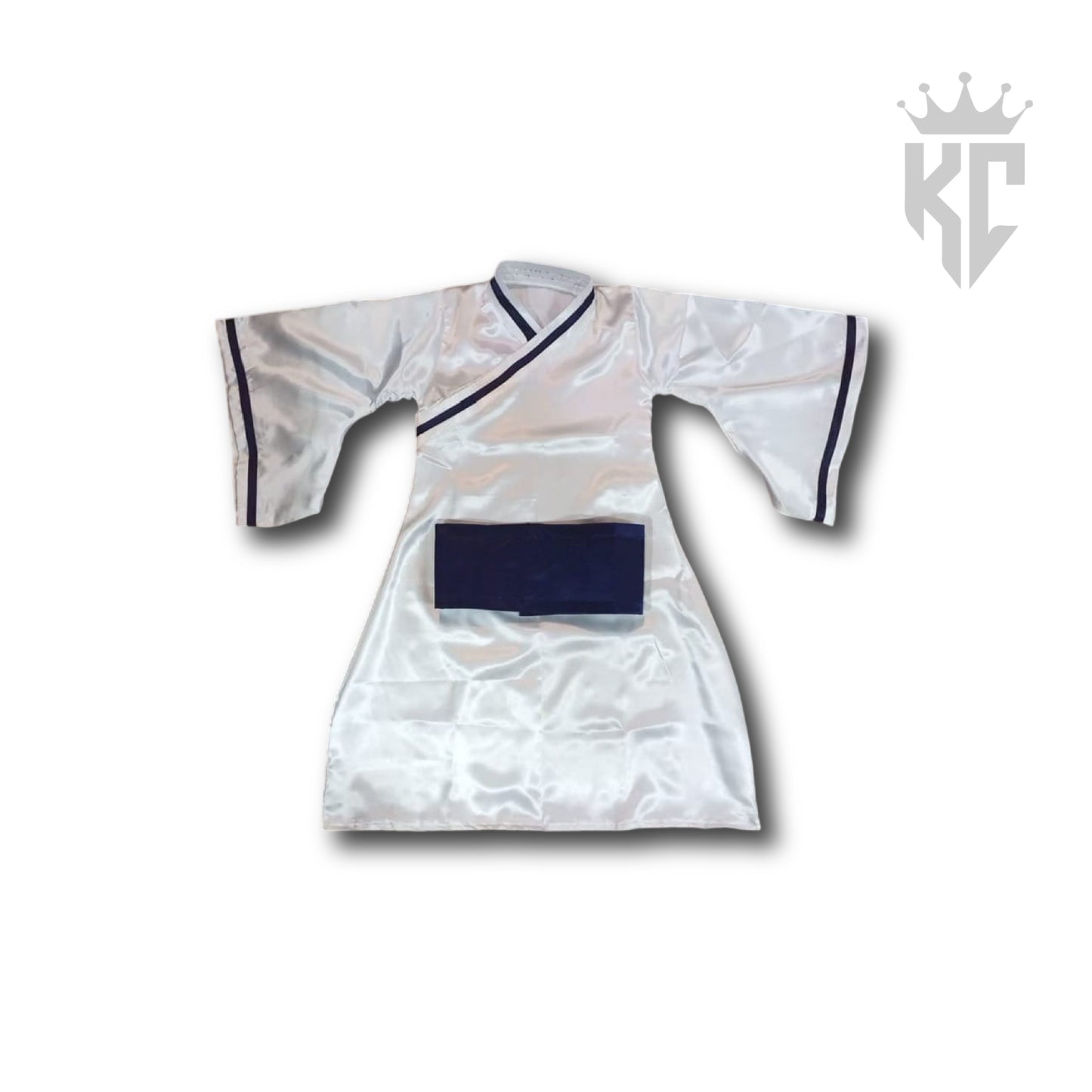 Chinese Gown Costume (Brand New)