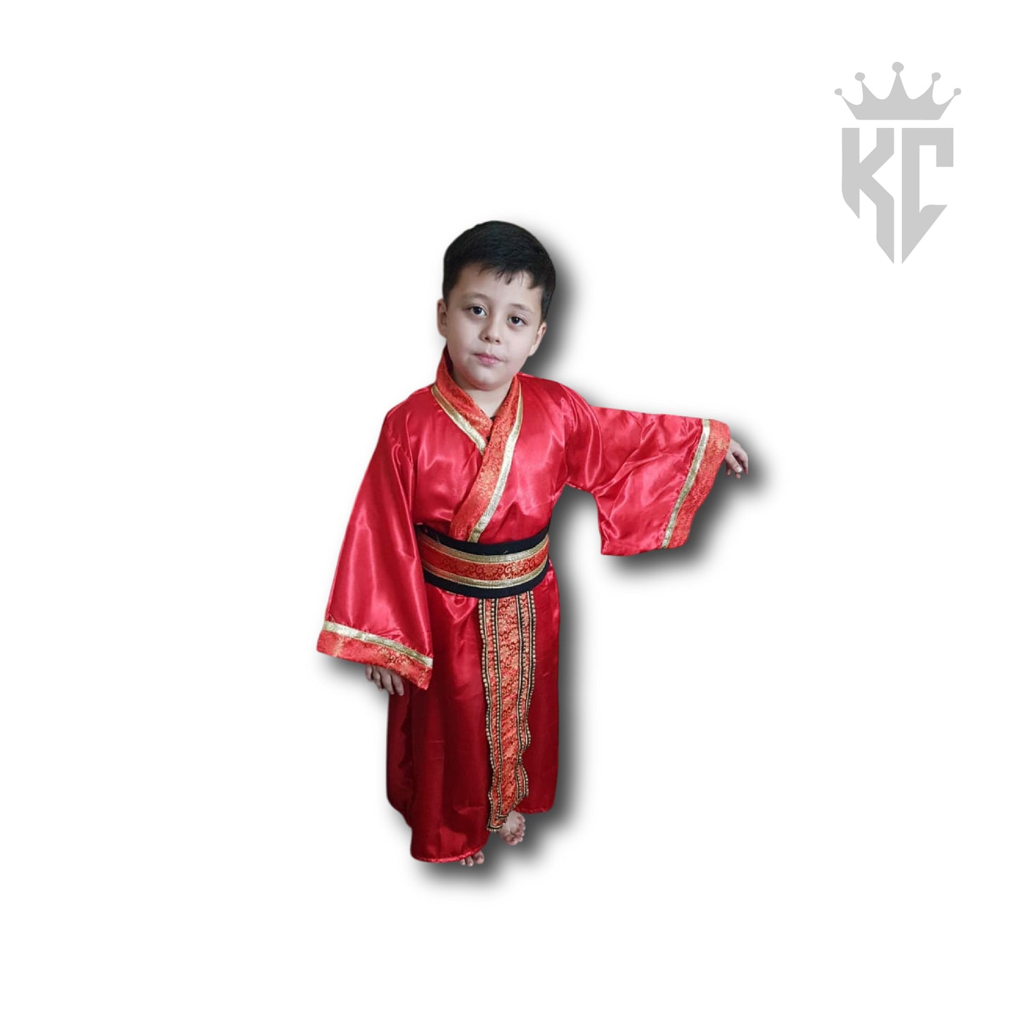 Chinese Gown Costume (Brand New)