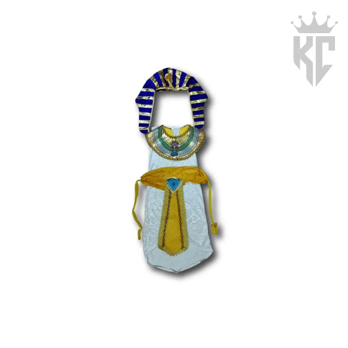 Pre Loved Egyptian Costume – Step into the World of Pharaohs & Queens