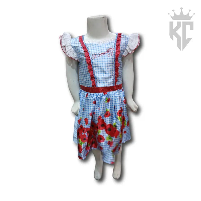 Dorothy Costume (Pre-Loved) β Wizard of Oz Blue Gingham Dress for Kids