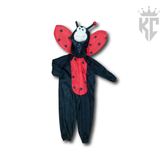 Lovely Little Ladybug