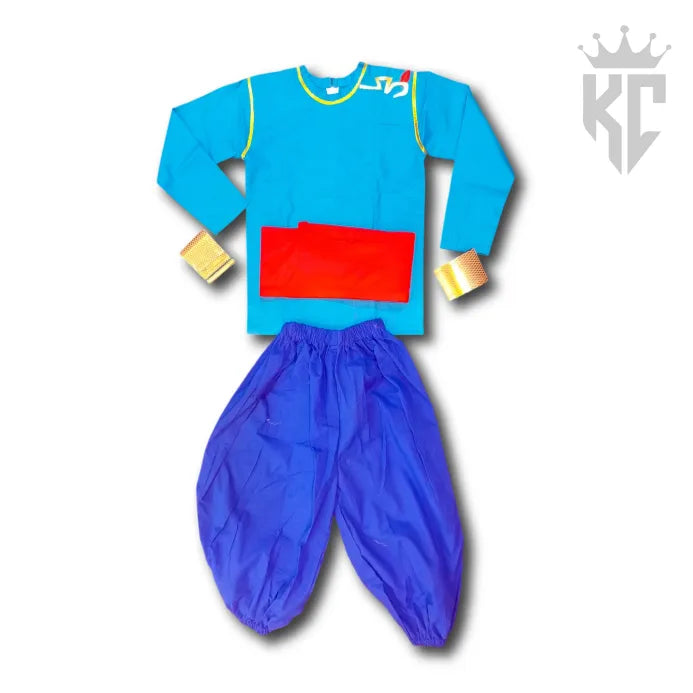 Genie Costume (Brand New) – Magical & Sparkly Outfit for Kids