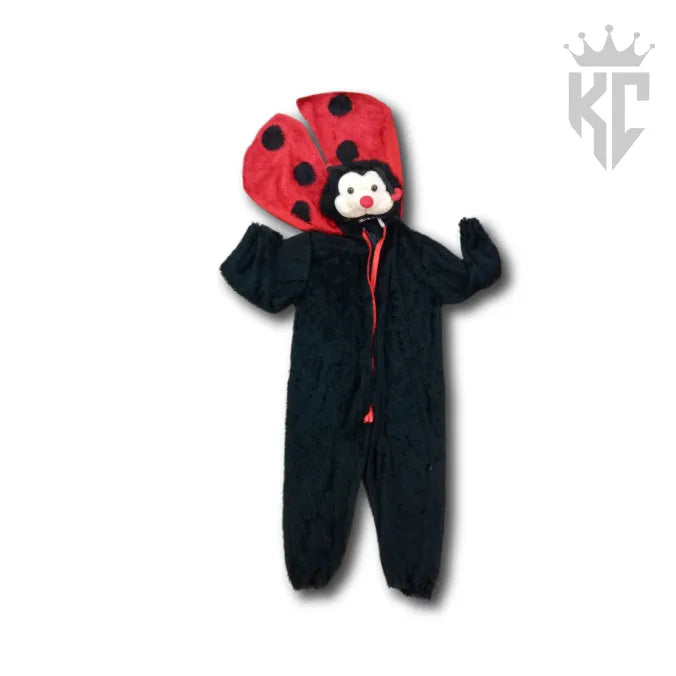 Lovely Little Ladybug