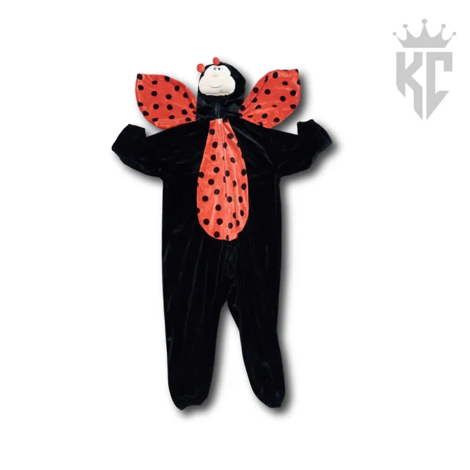 Lovely Little Ladybug