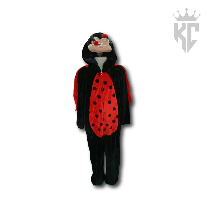 Lovely Little Ladybug