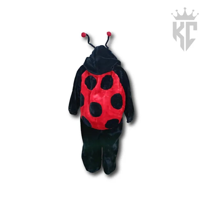 Lovely Little Ladybug