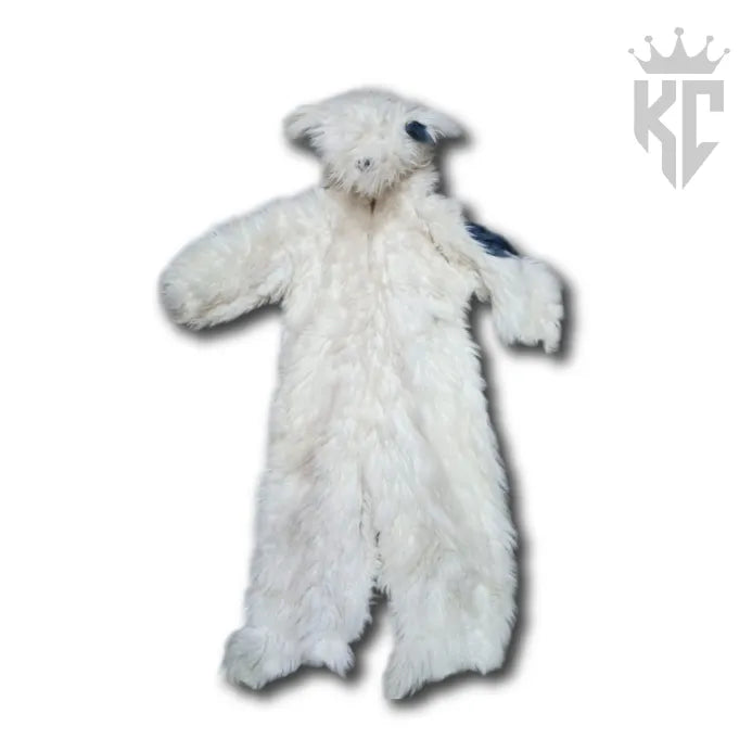 Dog Costume (Pre-Loved) β Paw-sitively Adorable!