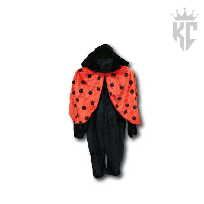 Lovely Little Ladybug