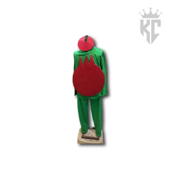 Handmade Fruit Costumes – Brand-New Colourful Outfits