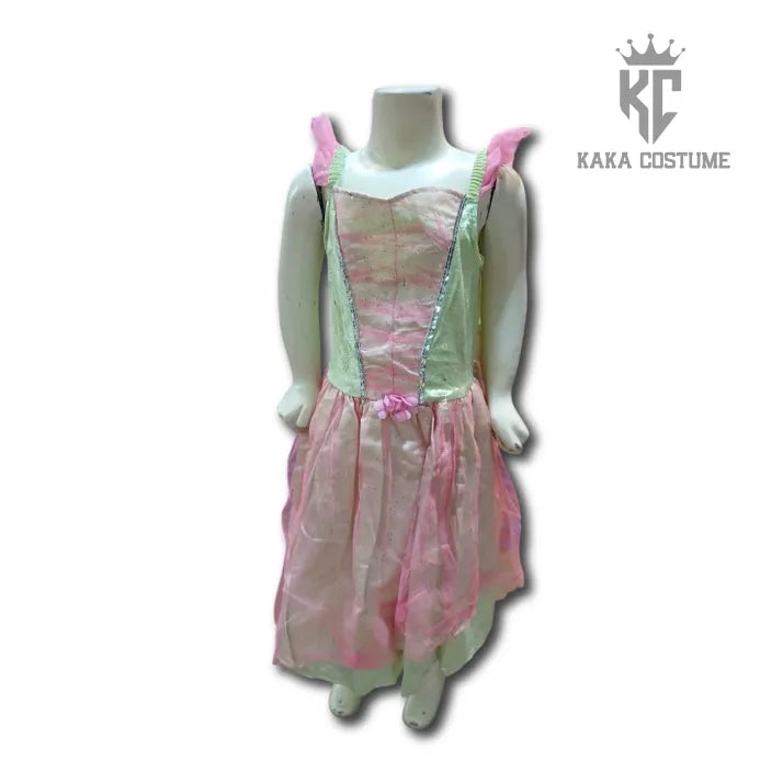 π§ββοΈ Tinker Bell Costume (Pre-Loved) β Fairy Dress for Girls