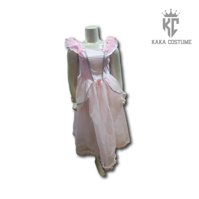 Princess Aurora Costume (Pre-Loved) β Barbie-Style Sleeping Beauty Dress for Girls