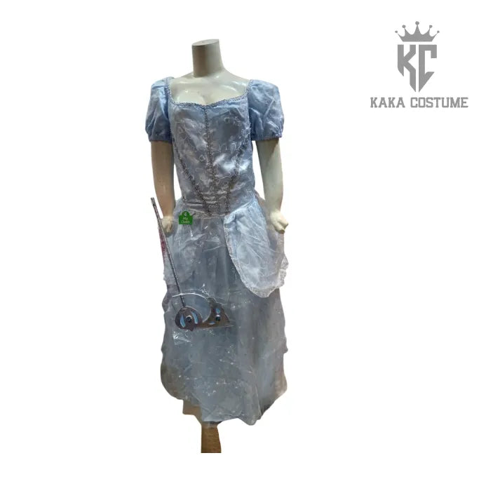 Cinderella Costume (Pre-Loved) – Classic Blue Princess Dress for Girls
