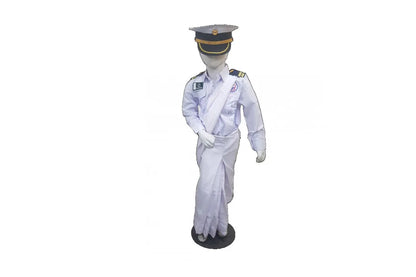 Navy sari