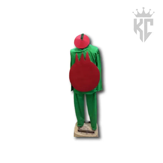Handmade Pomegranate Costume – Brand-New Fruit Outfit