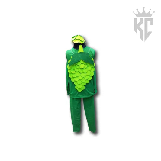 Handmade Grapes Costume – Brand-New Fruit Outfit