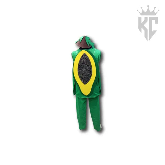 Handmade Papaya Costume – Brand-New Fruit Outfit